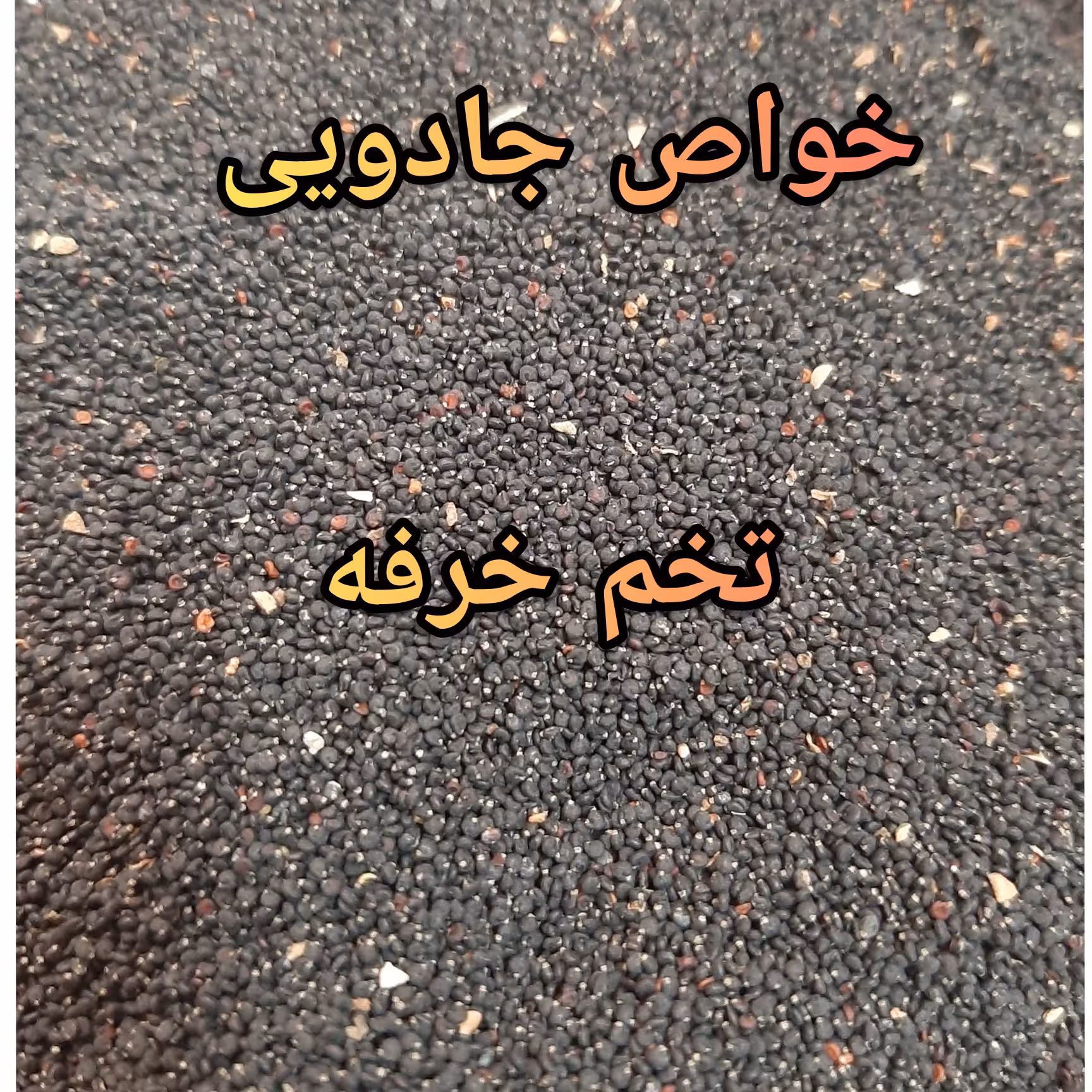 تخم خرفه 2 کیلویی (پس کرایه)