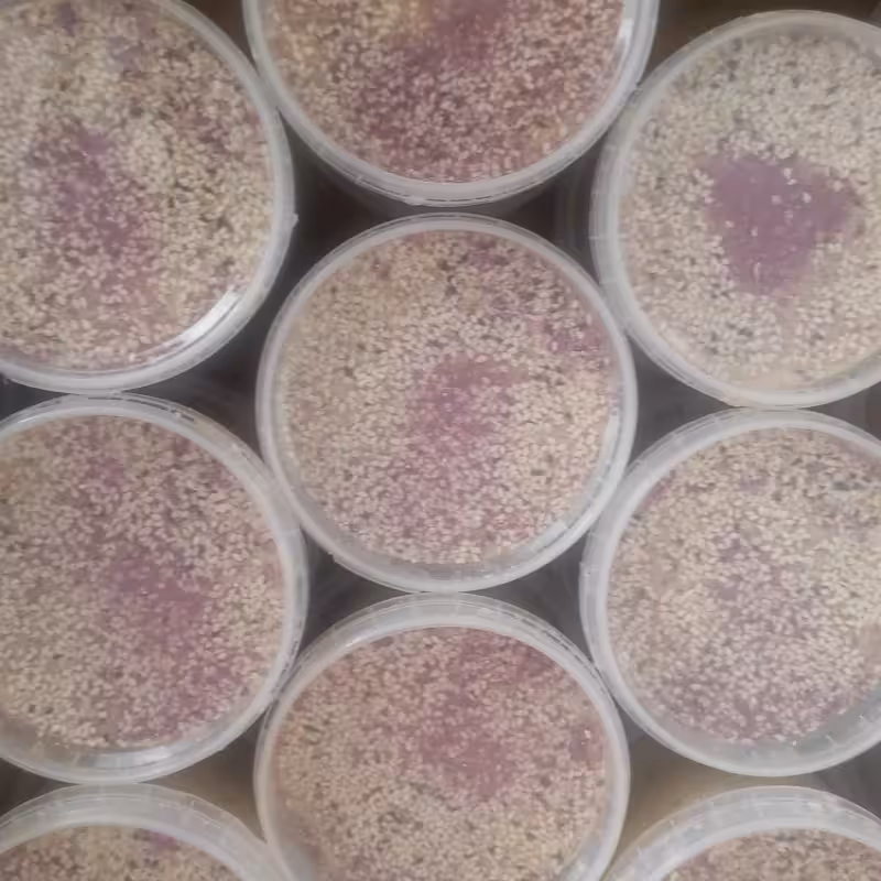 حلوا سنتی تبریز بدون افزودنی تهیه شده از آرد و برزک و ارده وگل سرخ(500گرم) انستیتو چلیپا عسل ارسال رایگان