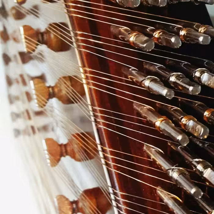 سنتور فراز مدل شور کوک 5 مهر کد A 43