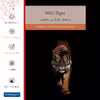 برچسب پوششی ماهوت مدل Wild Tiger مناسب برای تبلت اپل iPad 2 2011 A1395