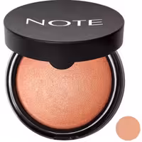 رژ گونه نوت سری Terracotta شماره 02