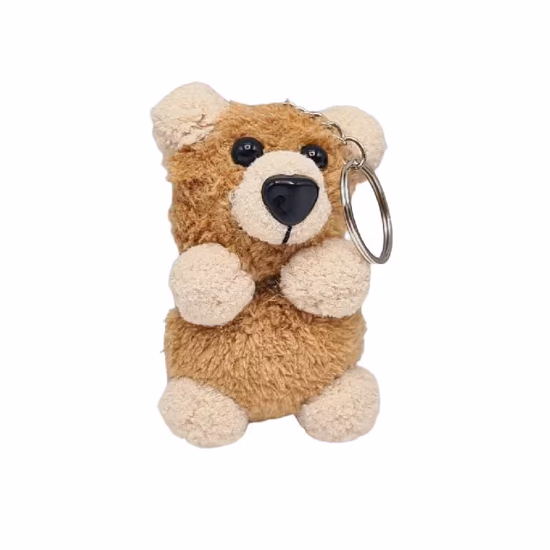 جاسوئیچی تدی خرسه ایرانی 15