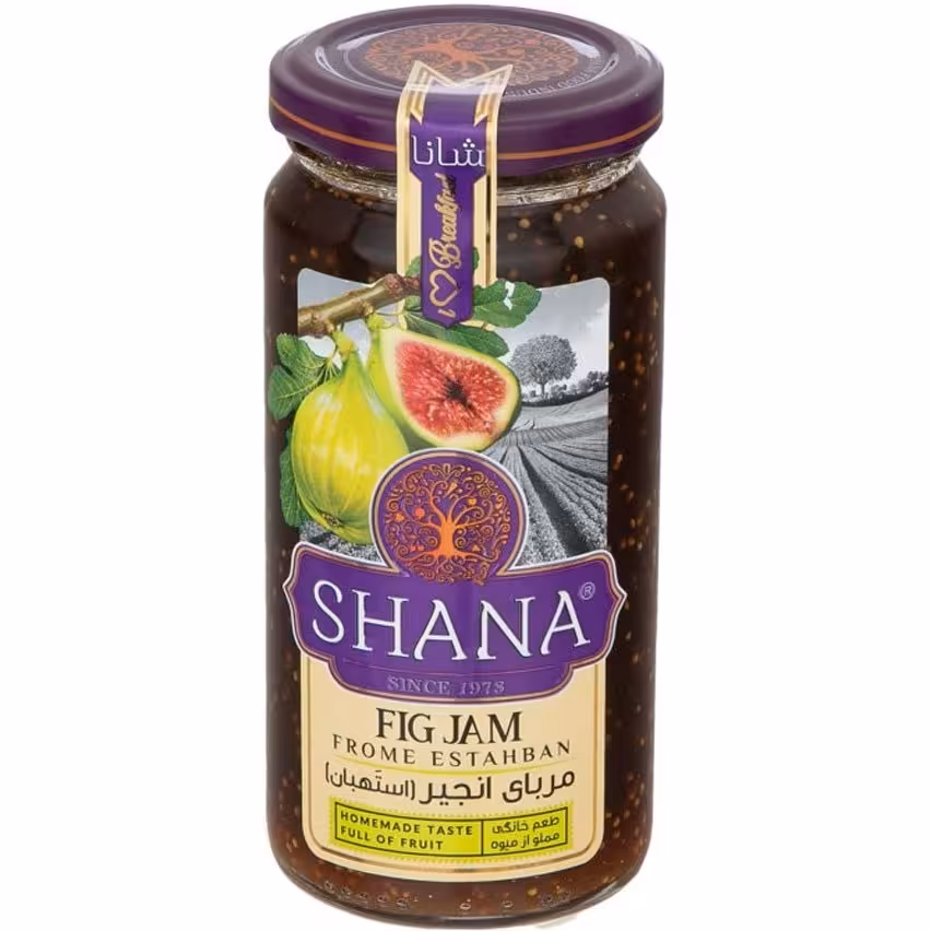 مربا انجیر 210g شانا