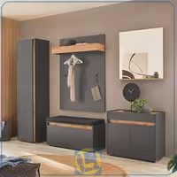 جاکفشی و جالباسی SHJ439