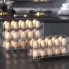 جا تخم مرغی 2 1 طبقه مدل Egg Container 5071