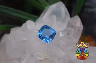 بلوتوپاز سوئیس