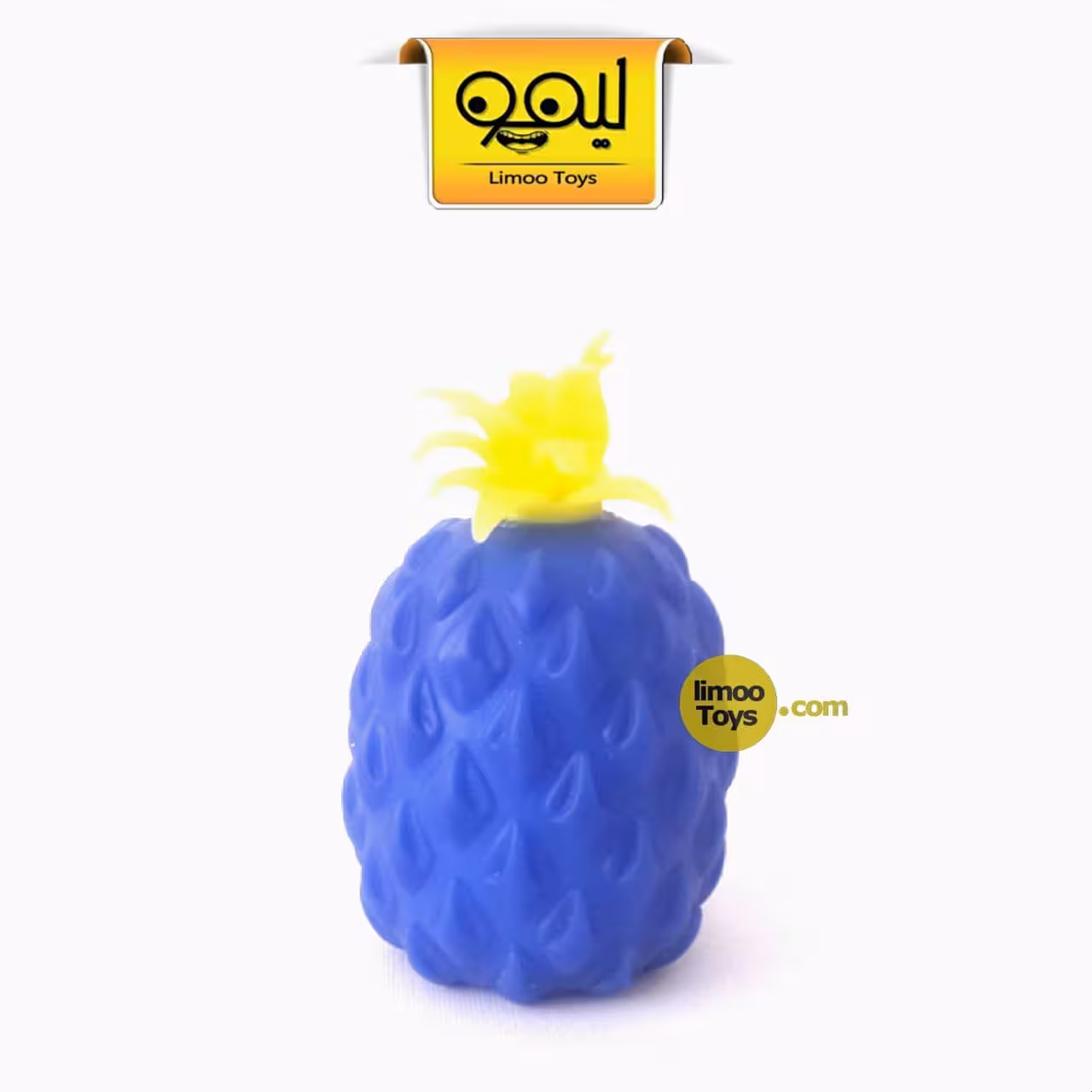 آناناس اسکوییشی | طرح 2