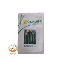 بذر خیار آفیسر F1 کلوز OFFICER F1