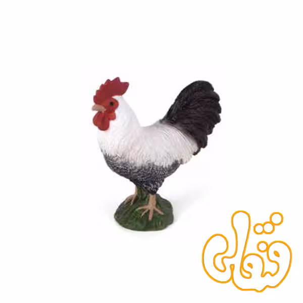 خروس Cockerel 387051