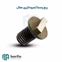 پیچ تیغه آبمیوه گیری هویج گیر هلال