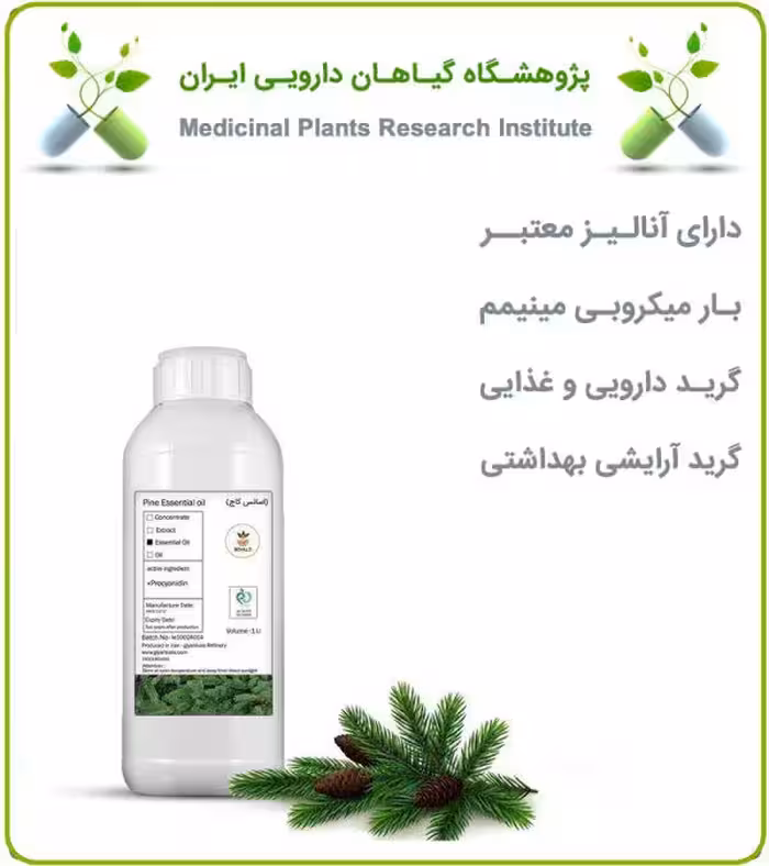 طعم دهنده کاج خوراکی