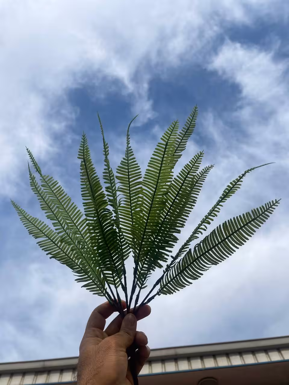 بوته سرخس سبز لمسی (سایز متوسط)