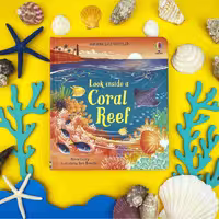 Look inside coral reef