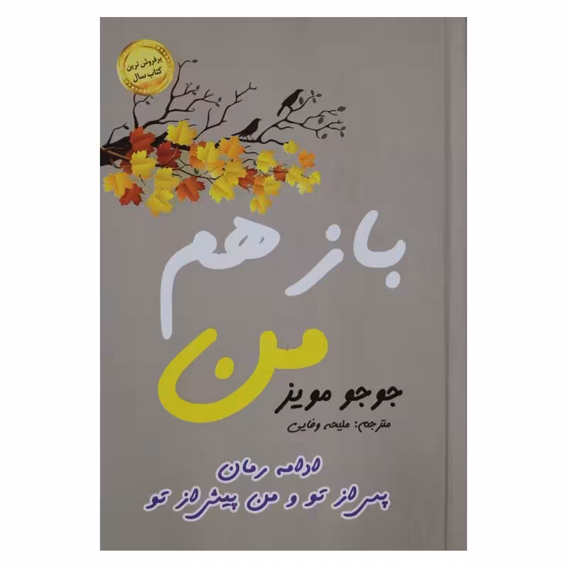 باز هم من (ادامه رمان پس از تو و من پیش از تو)