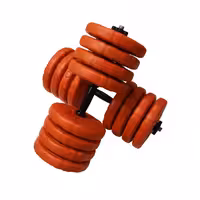 دمبل رادیس فیت مدل DVPO 20-2500 وزن 20 کیلوگرم بسته دو عددی | کالا مکس