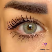 لنز چشم فصلی ایفوریا رنگ شدو  Euphoria Lenses Monthly Shadow color