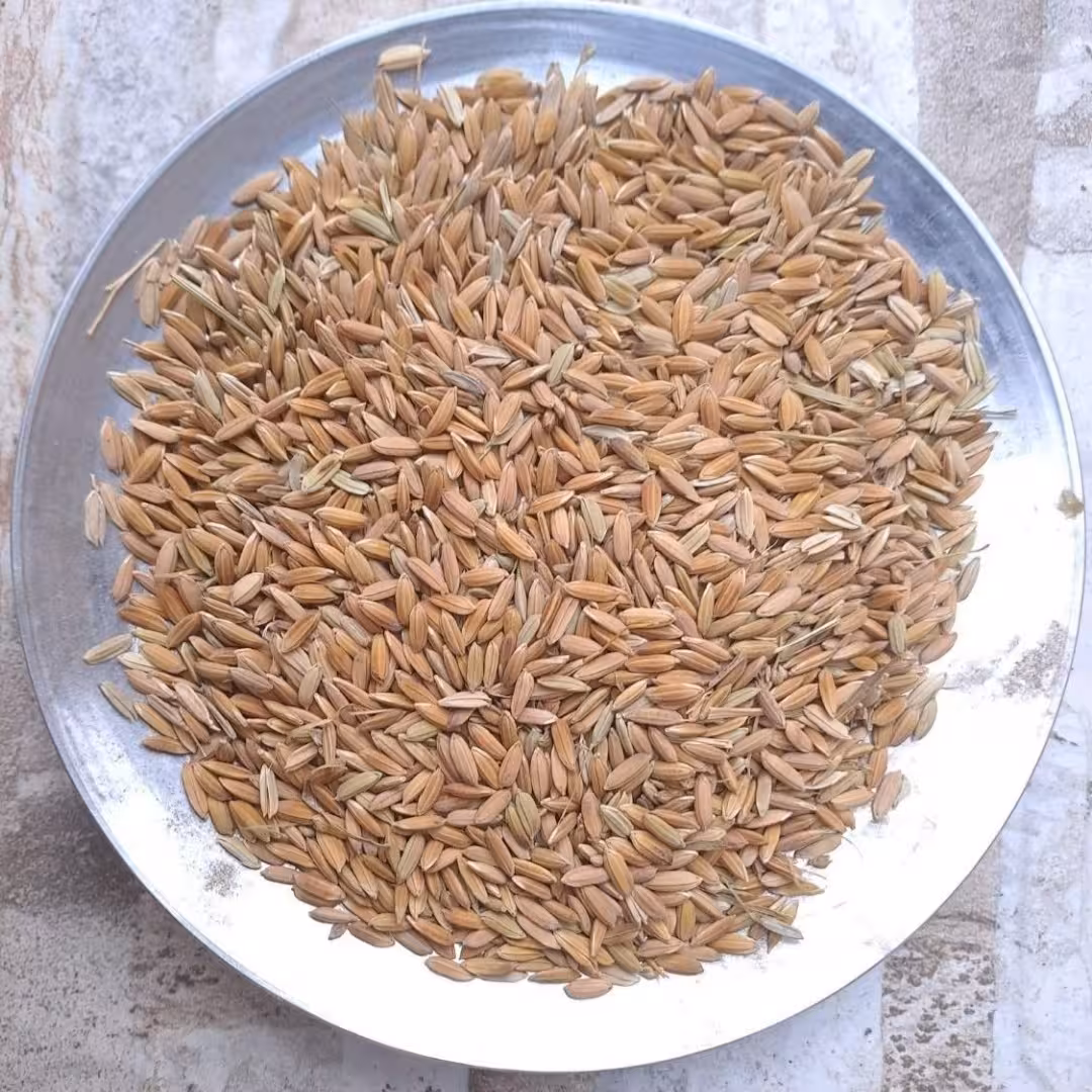 چلتوک لنجان ( 900 کیلوگرم)