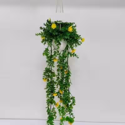 شمشاد اویز متوسط