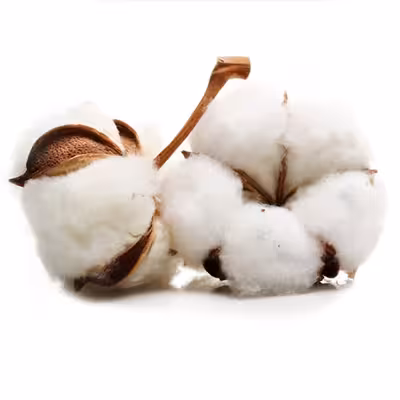 بالش تیموتی مدل HILTON WATER PROOF بسته دو عددی