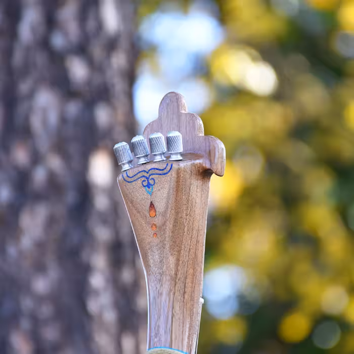 سه تار ایران ساز مدل رها