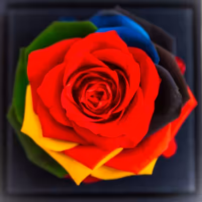 جعبه موزیکال رز جاودان دکوفیوره مدل کشودار هندل رنگارنگ