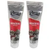 خمیر مینرال سگ پرسا مدل Mineral Paste وزن 100 گرم بسته 2 عددی