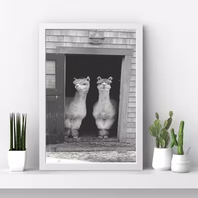 تابلو مدل لاما lama کد m1415-w