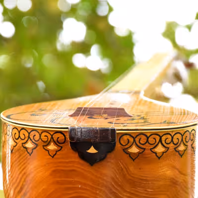 سه تار ایران ساز مدل جهان