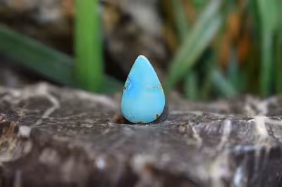 فیروزه نیشابور