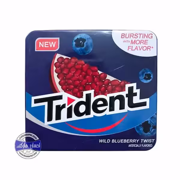 آدامس تریدنت انار و بلوبری جعبه فلزی