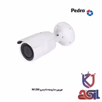 دوربین مداربسته دام پدرو M1200