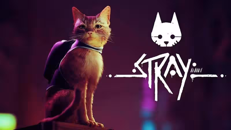 سی دی کی اورجینال بازی Stray کامپیوتر (PC)
