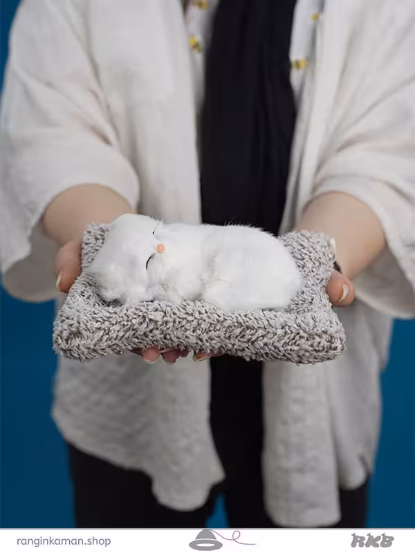 عروسک پرشین خواب sleeping Persian doll