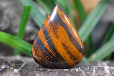 چشم ببر اهنی