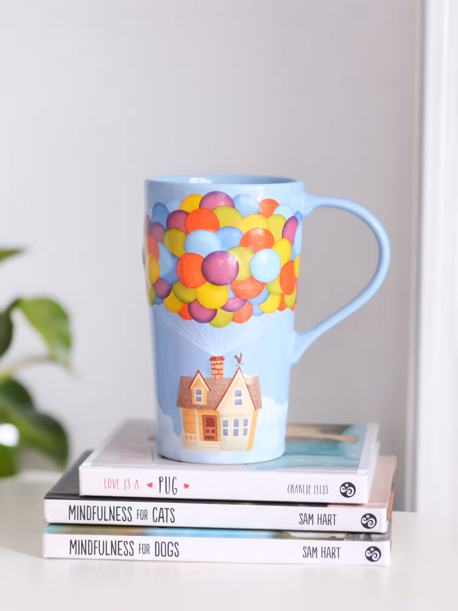 ماگ دیزنی آپ، راسل و بالن ها