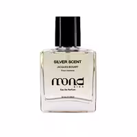 عطر مردانه موند رایحه Silver Scent _حجم 30 میلی لیتر
