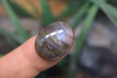 لابرادوریت بنفش