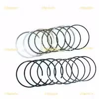 رينگ موتور ليفان 520 (استاندارد)