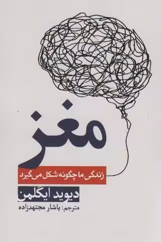 مغز (زندگی ما چگونه شکل میگیرد)
