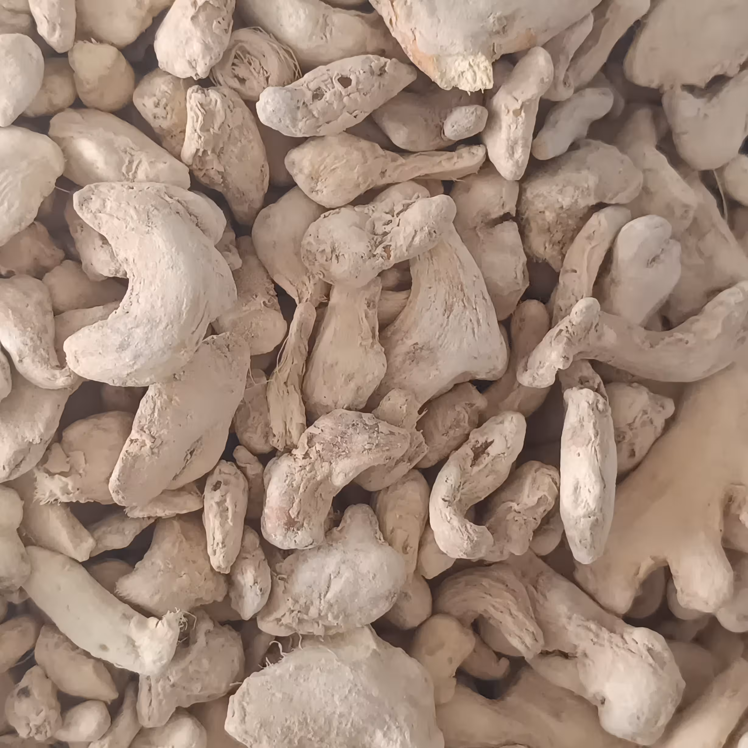 زنجبیل قلم اعلاء یک کیلویی