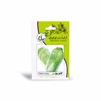 بذر کاهو پیچ چینی آرکا بذر ایرانیان