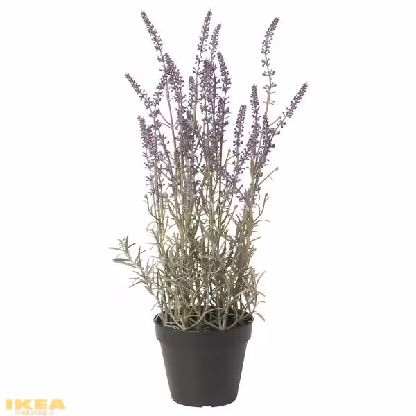 گیاه گلدانی اسطوخودوس یاس بنفش مصنوعی مدل FEJKA | برند ایکیا | ارسال 15 الی 20 روز کاری