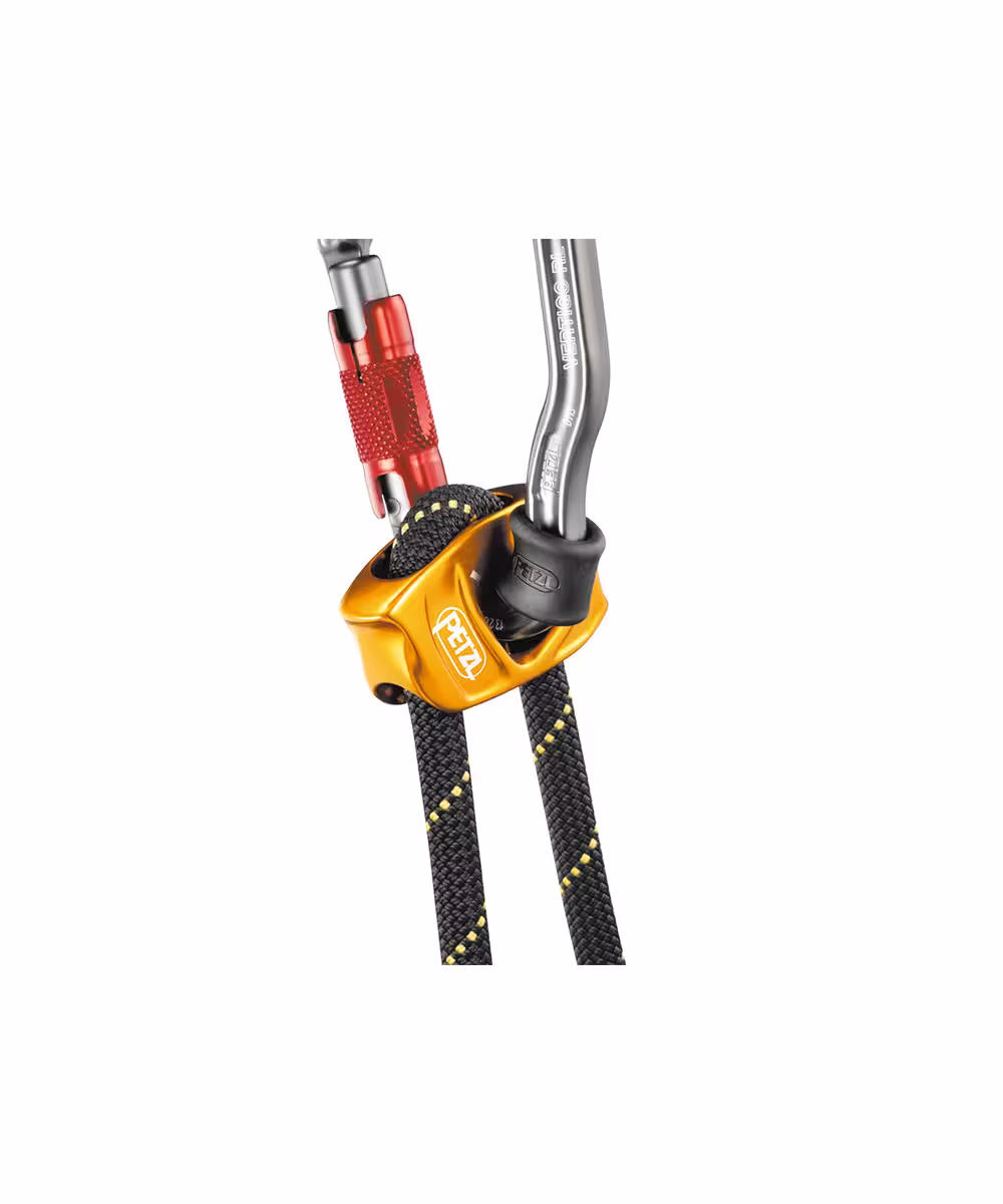 لنیارد پروگرس ادجاست پتزل