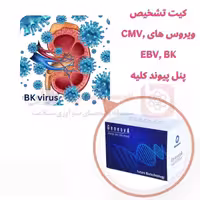 کیت تشخیص ویروس های CMV, EBV, BK | به روش TaqMan Real Time PCR