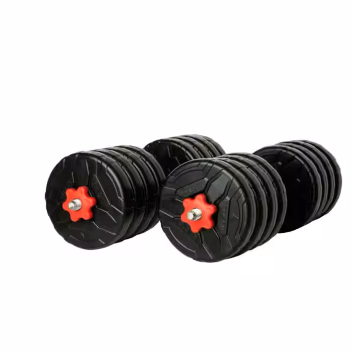 دمبل رادیس فیت مدل DVP-12-1500 وزن 12 کیلوگرم بسته 2 عددی