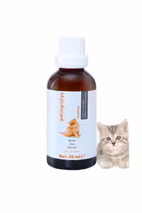 قطره تقویت‌کننده مو و ضد ریزش گربه Patiografya حجم 50 ml