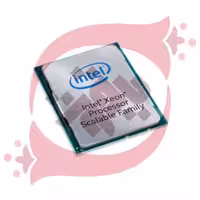 Intel Xeon-Platinum 8153 (2.0GHz 16-core 125W)