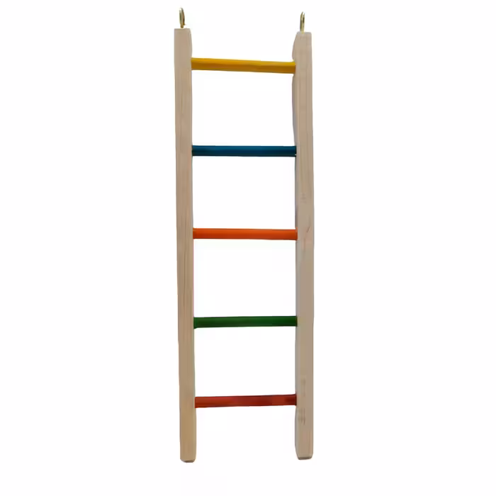 نردبان کوچک سایزS