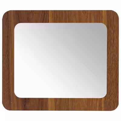 آینه مدل دلارا 1