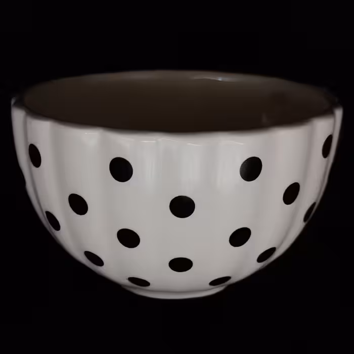 ست فنجان و نعلبکی سرامیکی هیوا طرح خالدار کد 11274870